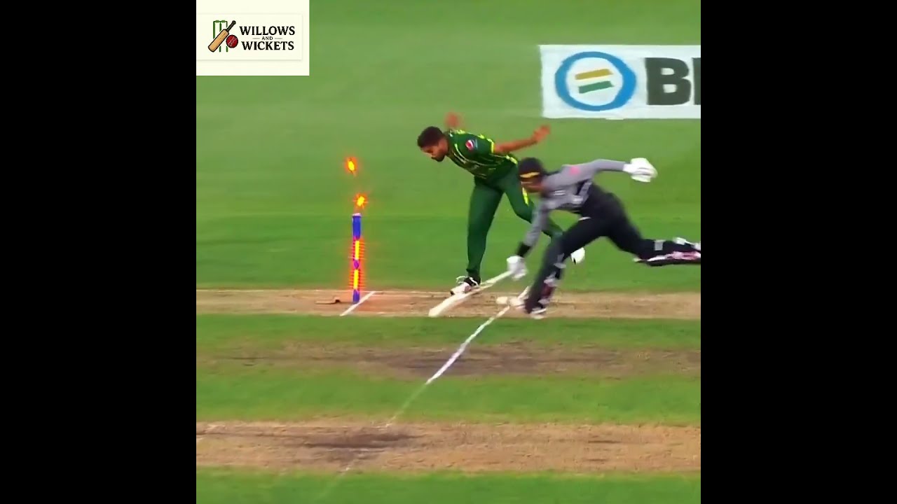 Ultimate Fielding & Run Outs Compilation  #youtubeshorts #shorts #shortvideo