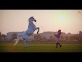 Meet The Dazzling Horses of Animalia, Dubai