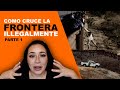 CRUZANDO LA FRONTERA | Mi Experiencia - PARTE 1