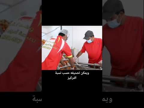 فكرة مشروع صناعة معجون الطماطم بدبي