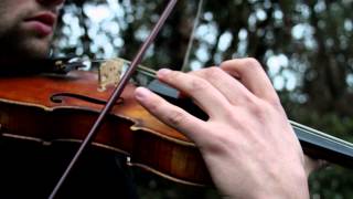 The End Tree - Fingers