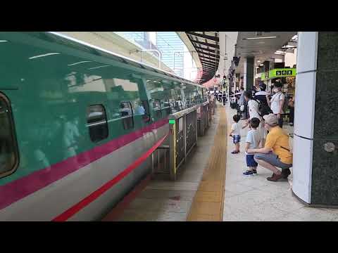 東北新幹線　はやぶさ　こまち　東京駅　入線