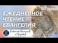 ЕЖЕДНЕВНОЕ ЧТЕНИЕ ЕВАНГЕЛИЯ / Откровение  20-22; Книга пророка Даниила 11-12