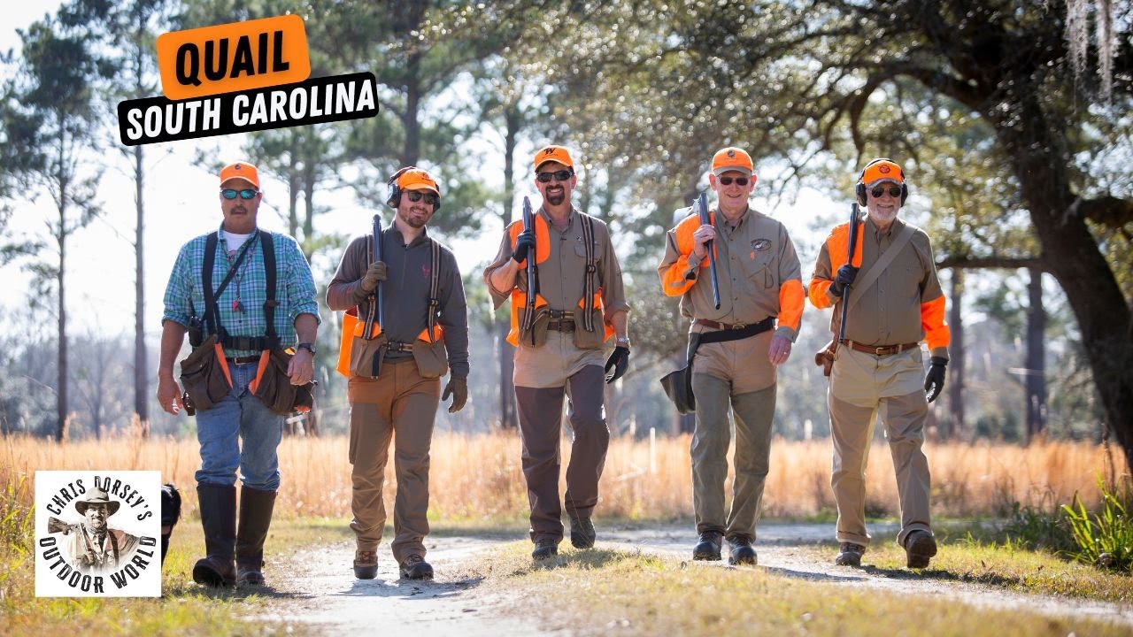 South Carolina Quail at Brays Island with Gerald McRaney & General Walt ...
