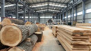 Behind the Giant Sawmill – How They Turn Trees Into Flawless Lumber