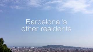 Famous Barcelona´s Other Residents Wealth