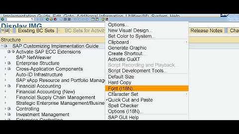 SAP Font | How To Change Font Size In SAP