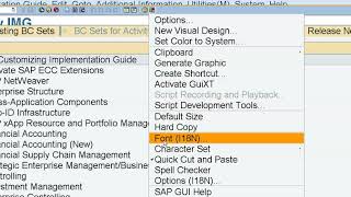 SAP Font | How To Change Font Size In SAP screenshot 4