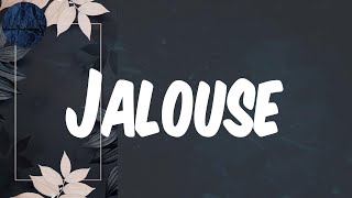 (Lyrics) Jalouse - Driks