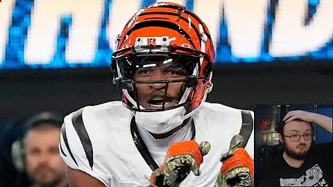 Video 10685341: animals bengal