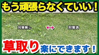 【効率化】芝生の草取り、もう頑張らなくていいですよ