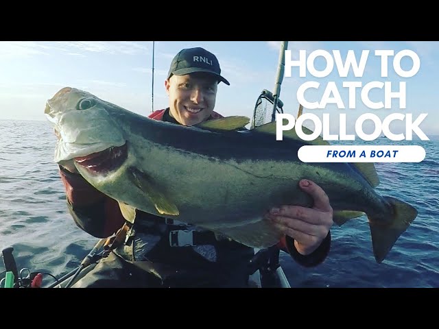 How To Catch POLLOCK From A Boat 