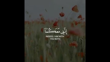حالات واتس اب دينية مؤثرة😭🥀ll ارح سمعك😔💜تلاوه تنسيك هموم الدنيا كلها😴😴