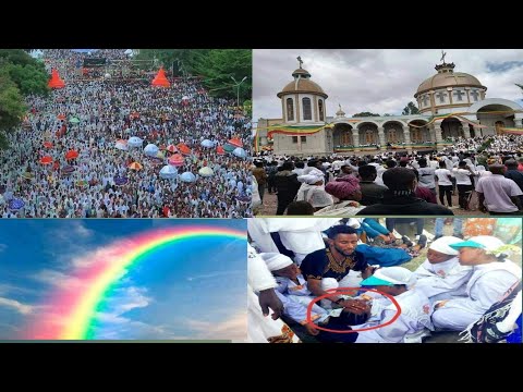 ቪዲዮ: ሦስቱም የመንግሥት አካላት የሚያመሳስላቸው ነገር ምንድን ነው?