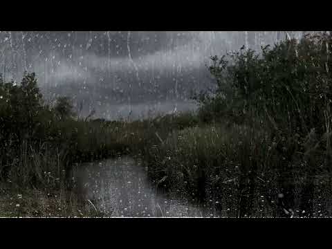 Windy Rain And Thunder Sound Heavy With 2 Hours Sounds For Sleep
