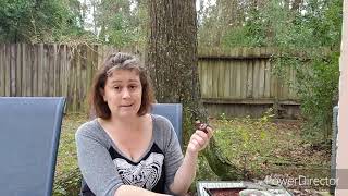 Danny Shore shout out & BookTube 50ish Qs