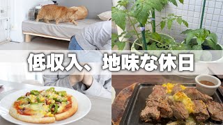 のんびり地味に暮らす休日￤一人暮らしvlog￤猫のいる暮らし🐈