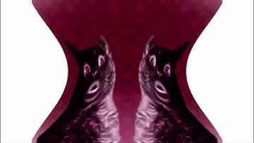 Preview 2 numa cat 3 deaf Mari group blind major Mari group and deaf major Mari group