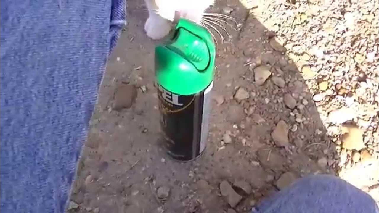 how to clean headlights with bug spray - YouTube
