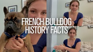 French Bulldog History Facts by The French Bullvlog 1,328 views 2 years ago 4 minutes, 45 seconds
