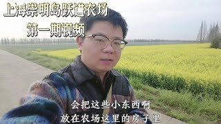 上海崇明岛农场房子才十几万一套，但碰不到一个居民，像个鬼城 #上海#崇明岛#房子#鬼城#记录#骨灰盒#农场