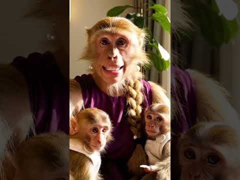 ناس بجحه اوي