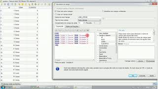 Função condicional CASE WHEN na calculadora de campo do  QGIS
