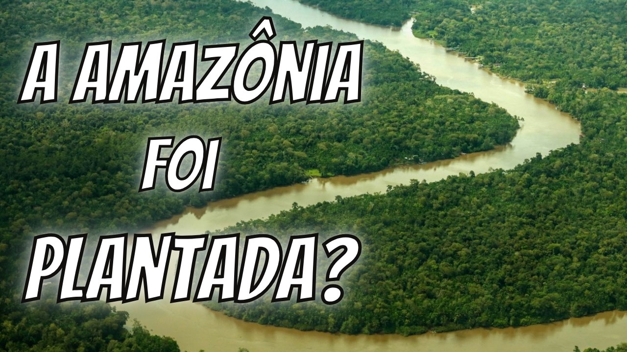 A Amazônia Foi Moldada por Povos Indígenas? A Ciência Está Reescrevendo Essa História