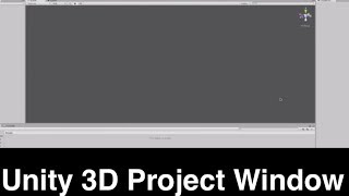 Unity 3D Project Window