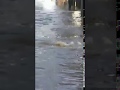 Extreme Flood In Bursa Turkey!!!!!!!  06-18-2020