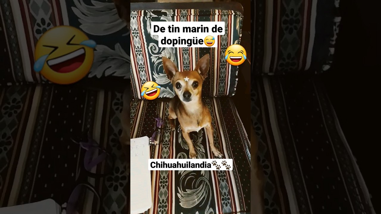 😜de tin marin de dopingüe😅