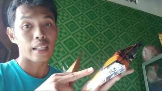 Mengganti Pakan Murai batu dengan vor Merek, warna BEDA