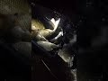 Populare Crap 04.10.2018 - video 3