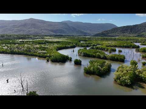 Australia Cairns The trinity inlet