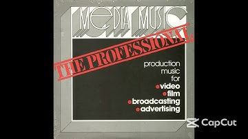 Media Music The Professional – Number 13 – MMSE-10 – New Visions