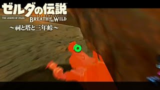 新春ﾌﾞﾚﾜｲ その6【ゼルダの伝説 ブレスオブザワイルド】