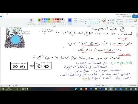 النشاط الاول للوحدة تركيب البروتين
