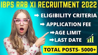 IBPS RRB XI RECRUITMENT 2022|IBPS RRB VACANCY 2022 NOTIFICATION|IBPS RRB CLERK 