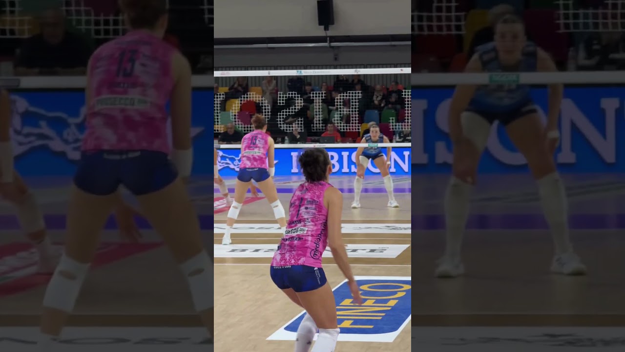 BISONTE volley Firenze 😜 #bisonte #volley #firenze #gabi