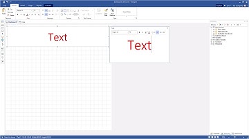 Winforms Dashboards: Creating Dashboard with Text [Shot on v2018]