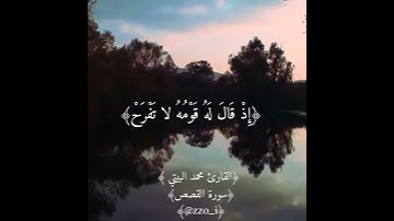 مقطع من سوره القصص بصوت القران القارئ محمد البيتي ❤🌿
