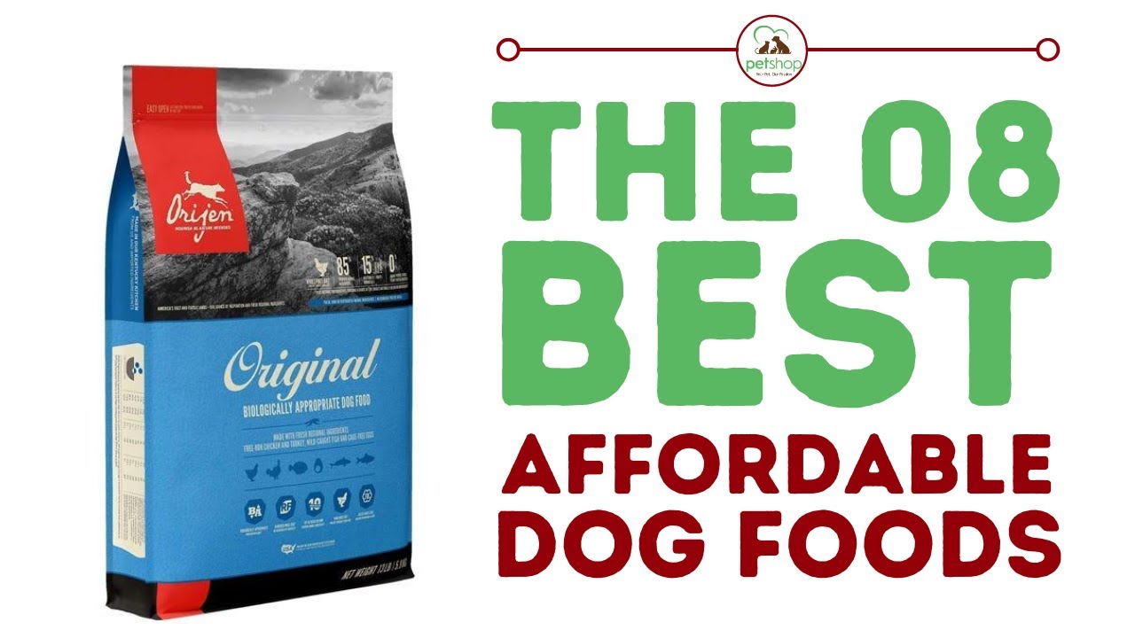 The Best Affordable Dog Foods On The Market YouTube