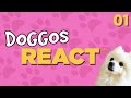 Doggos React