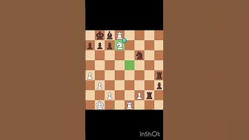 Brilliant #chess #brilliantmove #chessgame #brilliant #chessmaster #checkmate #chessman # #chesscom