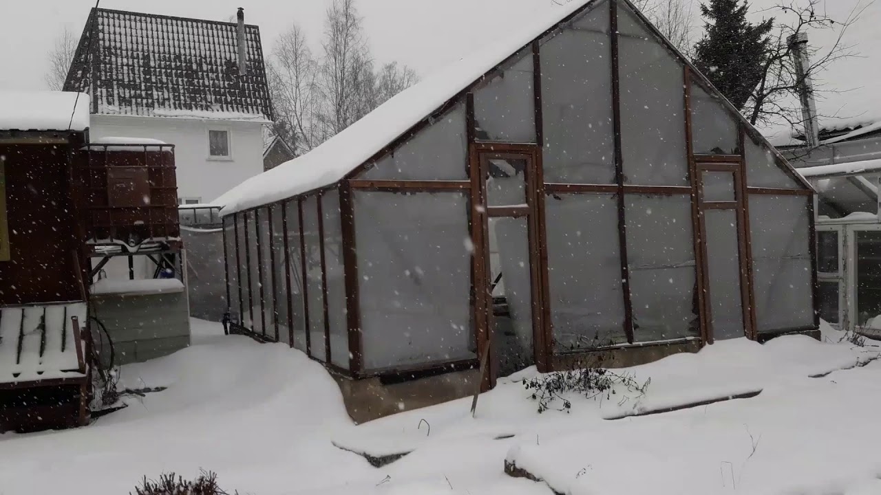 Снегопад на даче 18 января,  утепляю многолетники снегом