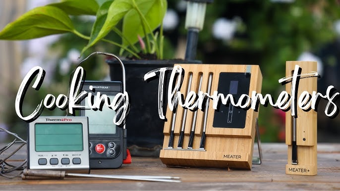 Best Smoker Thermometers of 2023 — Tested and Reviewed
