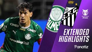 Palmeiras vs Santos 1-1 | Game Highlights | #Brasileirao2026