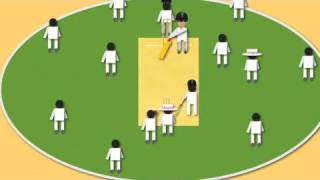 How to Play Cricket