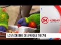 Parque Tricao: El aviario más grande de Sudamérica