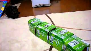 DSCF1074.AVI